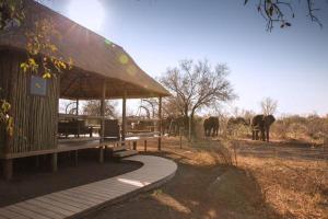 Зображення з фотогалереї помешкання Nkala Safari Lodge у місті Matlhagame