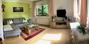 a living room with a couch and a tv at Ferienwohnung am Kieferberg in Hormersdorf