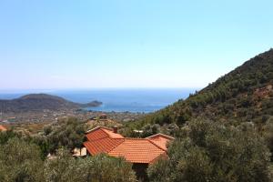 a red roofed house on a hill next to the ocean at Zephyros Hotel in Mesudiye