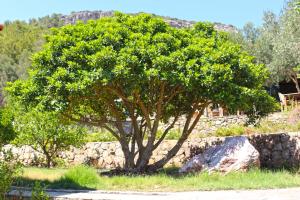 Fotografie z fotogalerie ubytování Zephyros Hotel v destinaci Mesudiye