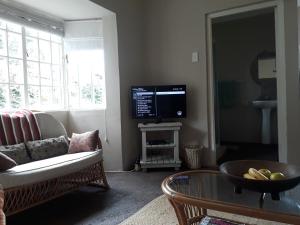 uma sala de estar com um sofá e uma televisão em Apartment Chapel Road em Hillcrest