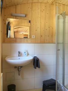 a bathroom with a sink and a shower at Ferienhof Waldblick in Haundorf