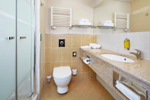 uma casa de banho com um WC, um lavatório e um chuveiro em OREA Resort Sklář Harrachov em Harrachov