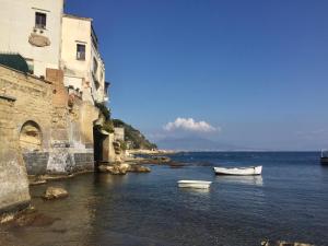 Paisatge natural a prop de l'apartament