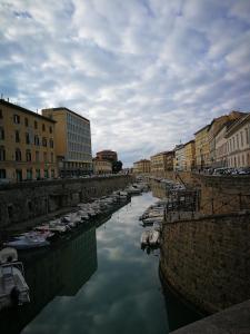 Foto dalla galleria di B&B Metropolis a Livorno