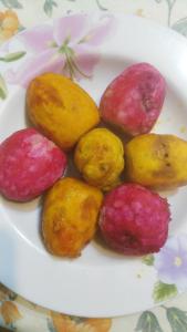 a plate of different colored fruits on a table at Sa Mendula in Bonorva +8 photos