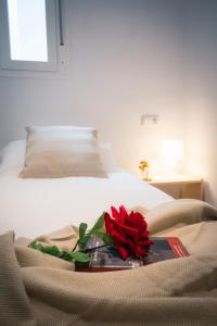 une rose rouge sur une plaque sur un lit dans l'établissement Holidays2Malaga Heredia 3 bedroom opposite Malaga Port, à Malaga