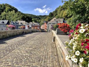 una calle adoquinada en una pequeña ciudad con flores en The Little Houses - Malmedy -, en Malmedy