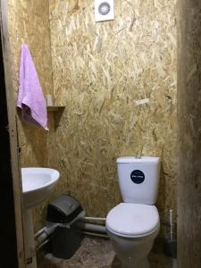 a bathroom with a toilet and a sink at Tishe in Omalo