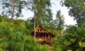 una pequeña casa en medio de un bosque en Tha Khao Bay View en Ko Yao Noi