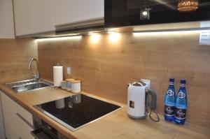 Kuchyň nebo kuchyňský kout v ubytování Golden Apartments - City Centrum