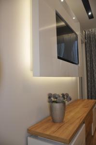 TV a/nebo společenská místnost v ubytování Golden Apartments - City Centrum