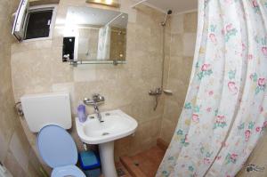 a bathroom with a sink and a toilet and a mirror at Pensiunea Irina in Brad +43 photos