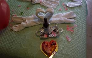 a pair of gloves and a bottle of wine and a heart at Para Thin Alos in Polychrono