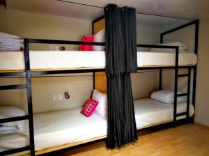 Voodi või voodid majutusasutuse Xplora Hostel Cusco toas