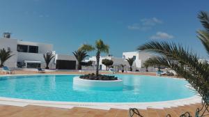 a large swimming pool with a palm tree in the middle at Casa Yaiza in Puerto Calero