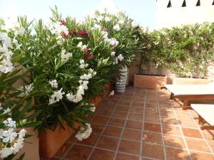 エステポナにあるMARBELLA LUXUEUX DUPLEX 3 CH.- 3 BAINS - 155 M² + 100 M² TERRASSESの鉢植えの植物と白い花が咲くパティオ