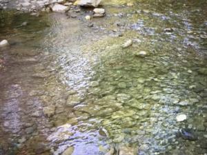un acercamiento de una corriente de agua con rocas en Júbrique, en Jubrique