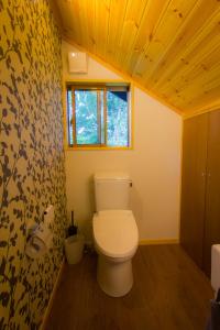a bathroom with a toilet and a window at Hakuba Powder Cottage in Hakuba