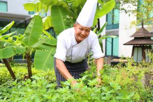 a man wearing a chefs hat in a garden at Hyatt Regency Bangkok Suvarnabhumi Airport in Lat Krabang