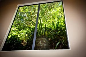 a window with a view of a tree at Seasidestyle in Raglan +13 photos