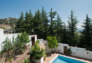 a villa with a swimming pool and trees at La Mejorana in Grazalema