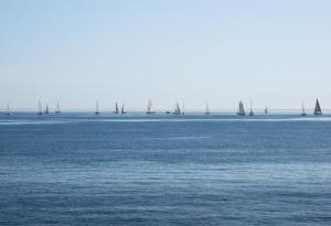 a group of sailboats on a large body of water at Rallye Hotel in L'Escala