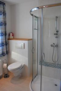 uma casa de banho com um WC e uma cabina de duche em vidro. em Ferienwohnung Werner em Annaberg-Buchholz