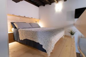 a bedroom with a bed and a tv on a wall at San Clemente Holiday House in Bracciano