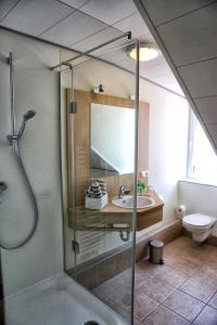 a bathroom with a shower and a sink at Landgasthof zum Hirschen in Sulzfeld (im Grabfeld)