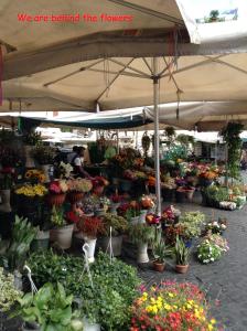 ローマにあるB＆B イン ピアッツァの花鉢の花市場