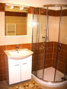 a bathroom with a shower, sink, and toilet at Pension Krásno in Cheb