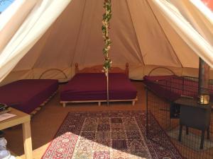 a tent with two beds and a rug in a room at Bell Tent Glamping at Royal Victoria Country Park in Southampton
