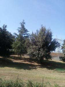 Fotografie z fotogalerie ubytování Villa del colle v destinaci Cisterna di Latina