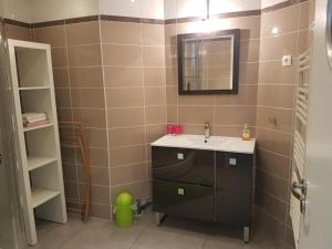 a bathroom with a sink and a mirror at Apartment L'Aquarius in Villeneuve-le-Roi +19 photos