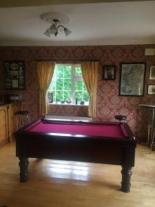 a room with a pool table in front of a window at Deerpark Manor Bed and Breakfast in Swinford