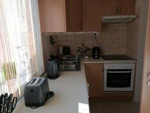 Kuchyňa alebo kuchynka v ubytovaní Csabai Apartman