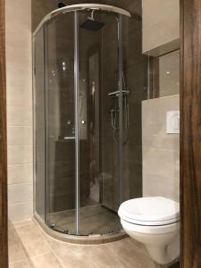 シオーフォクにあるNice Wellness Apartmanのバスルーム(トイレ、ガラス張りのシャワー付)