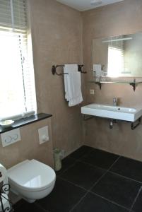 a bathroom with a toilet and a sink and a mirror at B&B De Koog Texel in De Koog