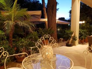 Zahrada ubytování Hotel La Primula