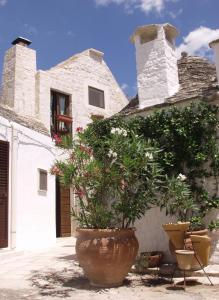 a building with two large pots of flowers in front of it at Trullimania B&B in Alberobello