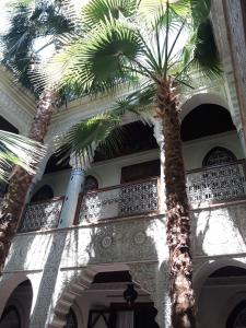 een palmboom voor een gebouw bij Dar Al Kounouz in Marrakesh