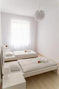 two beds in a white room with a window at Apartament Różany in Gorzów Wielkopolski