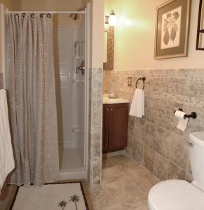 a bathroom with a shower and a toilet and a sink at Charming Historic Downtown Apartment in Saint Augustine