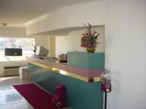 拉法叶普雷斯蒂奇旅馆的一间厨房,里面装有植物