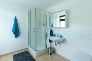 a bathroom with a glass shower and a sink at Blumenmeer Appartment in Ober-Hambach