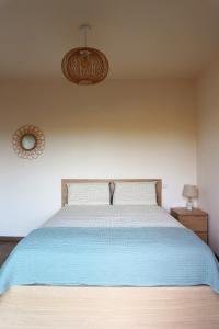 een slaapkamer met een groot bed en een blauwe deken bij Jet d'eau in Montainville