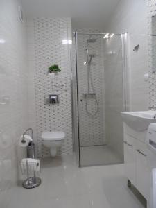 a bathroom with a shower and a toilet and a sink at Apartament Dmowskiego - Kępa Mieszczańska in Wrocław