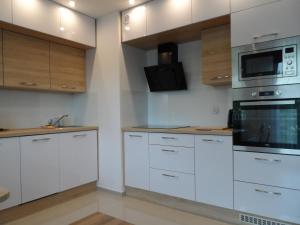 Kuchyňa alebo kuchynka v ubytovaní Apartament Dmowskiego - Kępa Mieszczańska