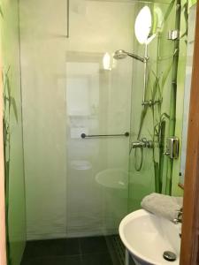 La salle de bains est pourvue d'une douche en verre et d'un lavabo. dans l'établissement Alte Schule 1, à Kall